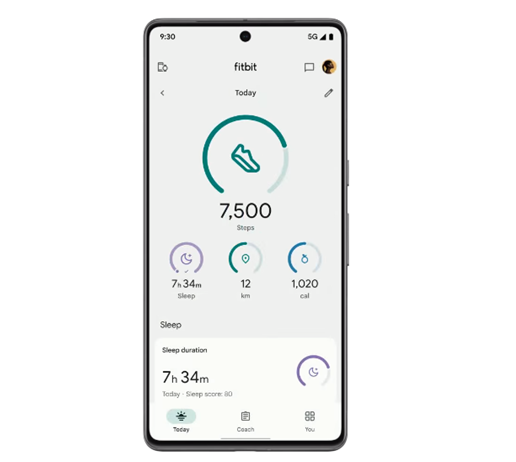 Fitbit - Health Connect